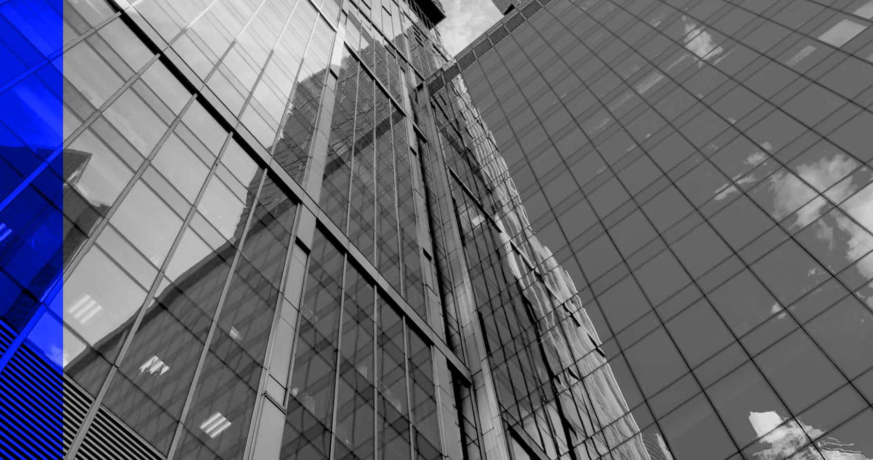 Network-of-business-leaders